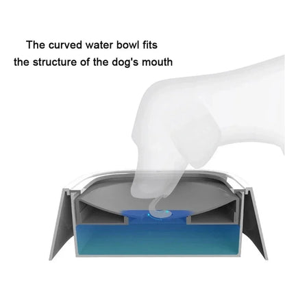 HydroPaws