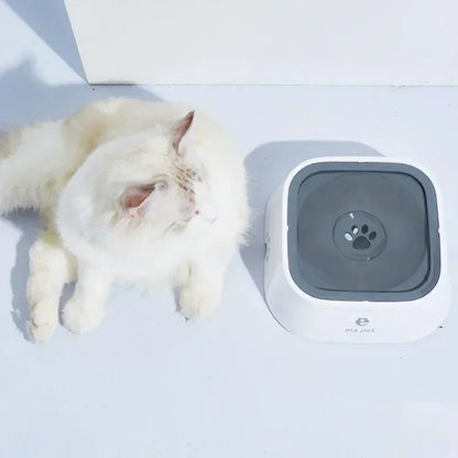 HydroPaws