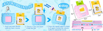 Talking Flash Cards Toys