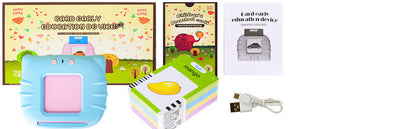 Talking Flash Cards Toys