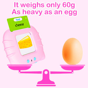 Talking Flash Cards Toys