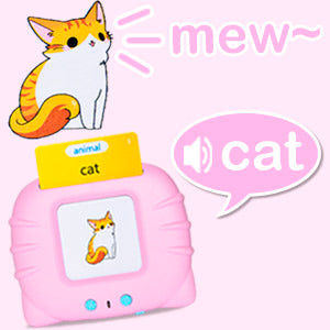 Talking Flash Cards Toys