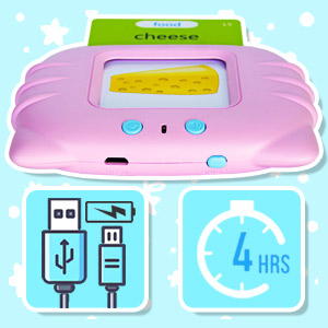 Talking Flash Cards Toys