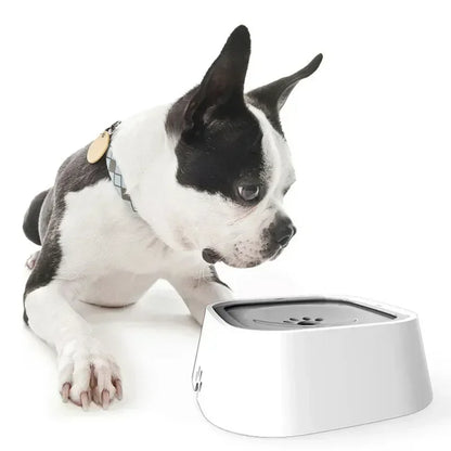 HydroPaws