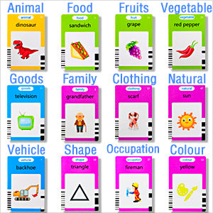 Talking Flash Cards Toys