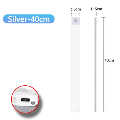 Motion Sensor Light
