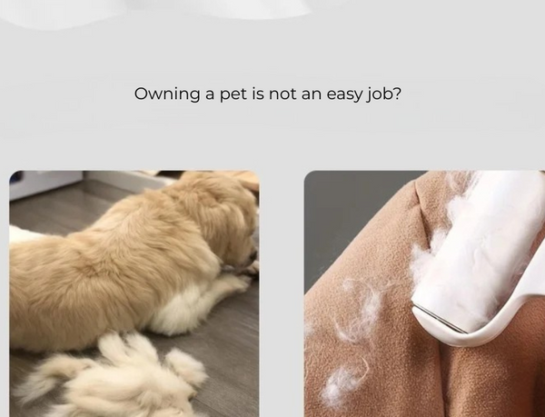 Purrfect Pet Hair Vac